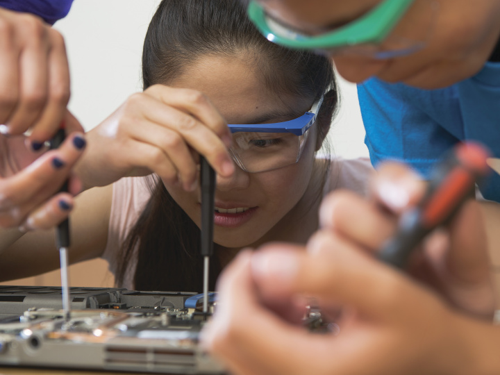 Stem for All